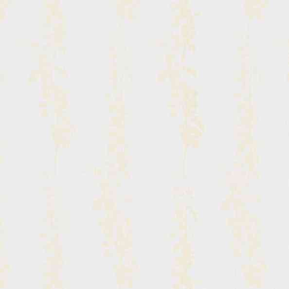 La Vita 2554/21