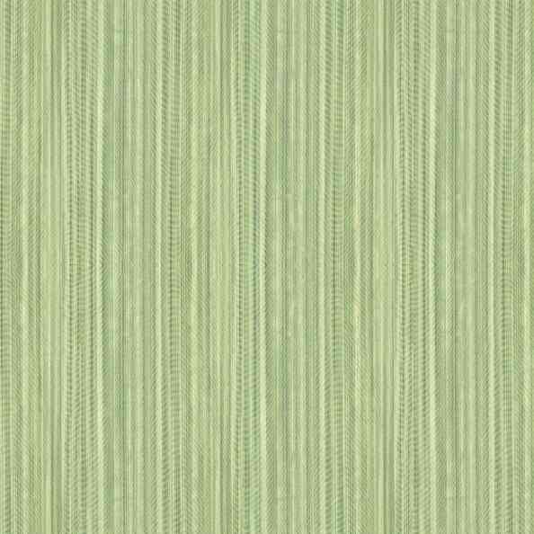 Plain and Stripe 1184/50