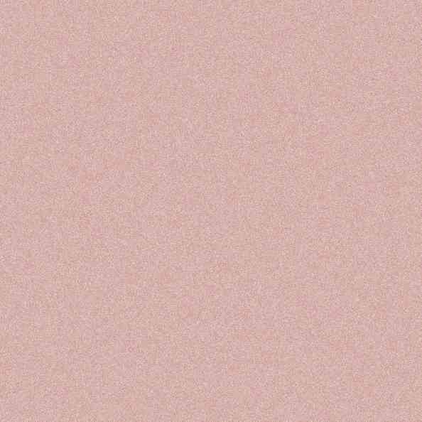 Plain and Stripe 2135/13