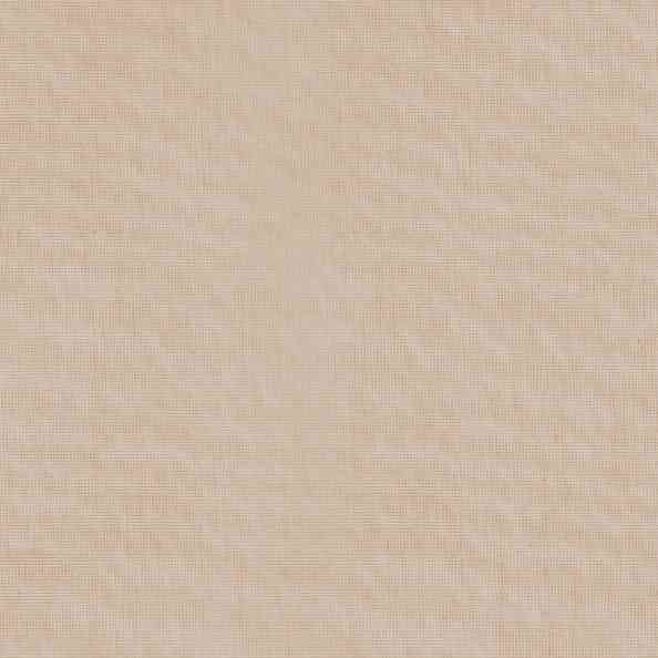 Sheers 2425/21