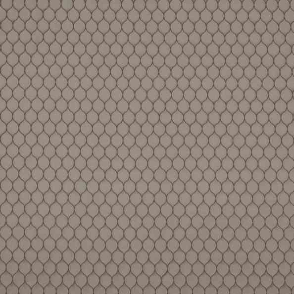 Domus 03