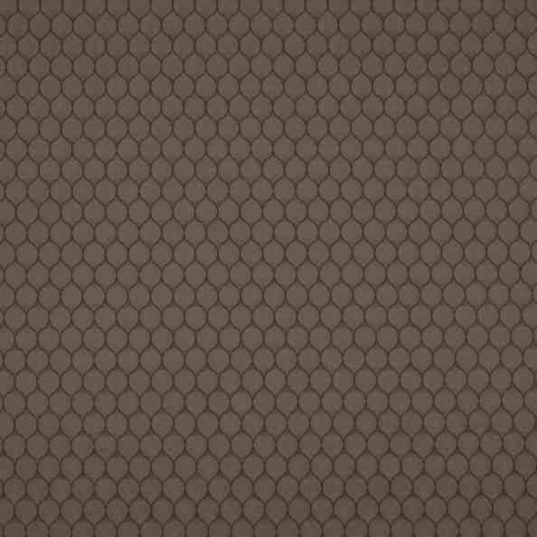 Domus 05