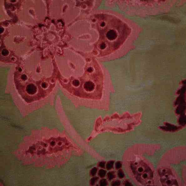 Tallo 14/55 101