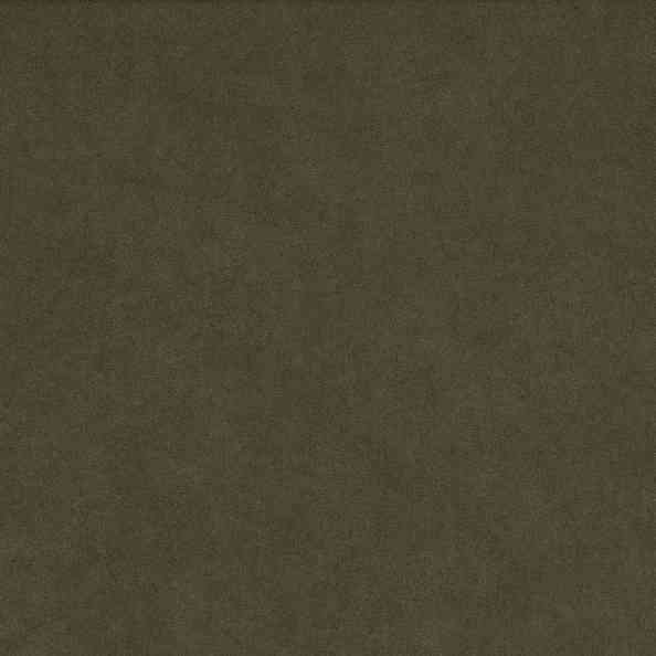 Alcantara Multilayer 5700 Lizard