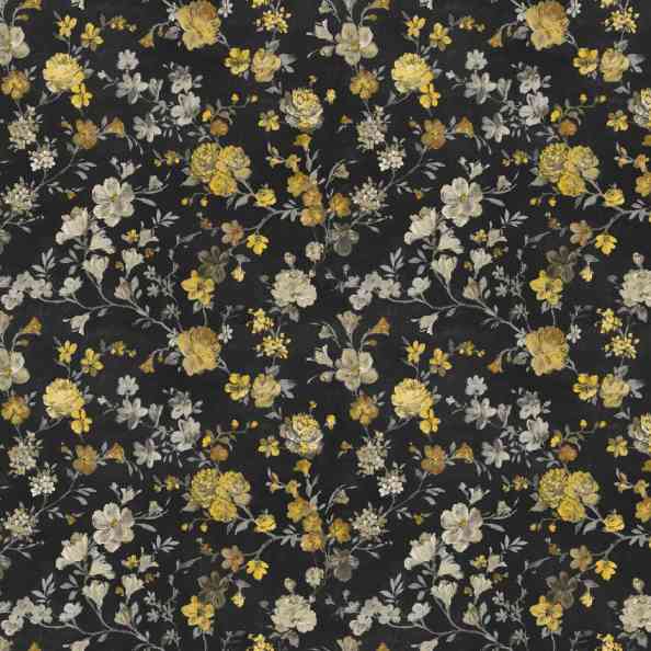 Tulu Antracite Gold