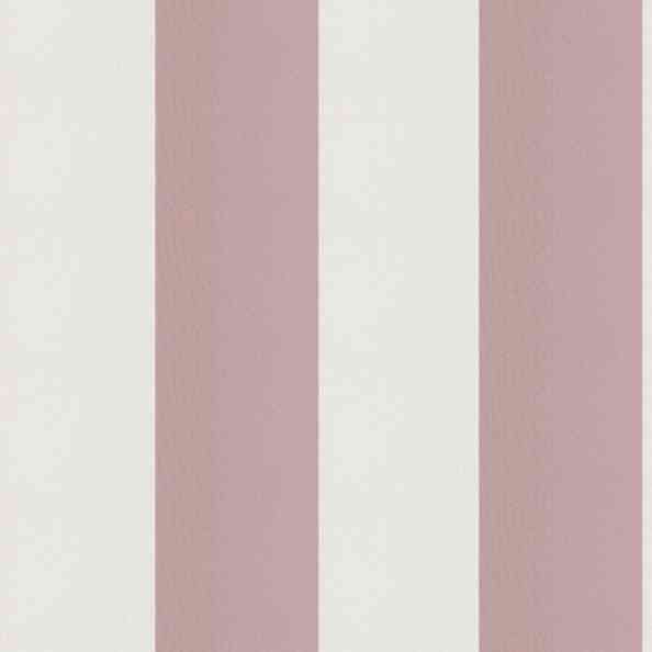 Stripe Merit 24 Orchid