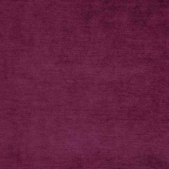 Baron 26 Peony
