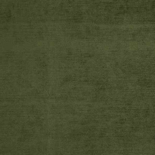 Baron 38 Olive