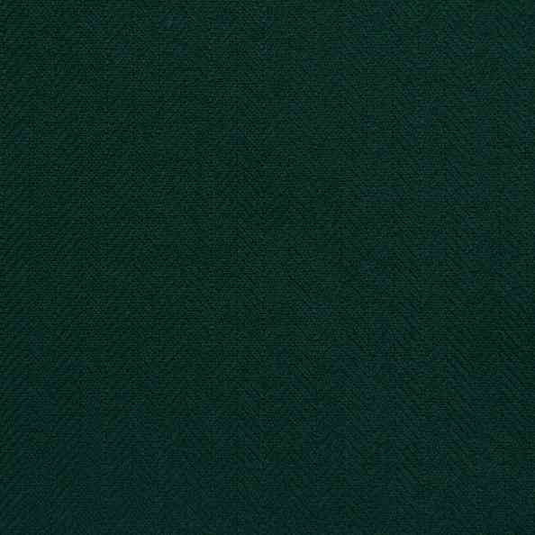 Dioniso 11