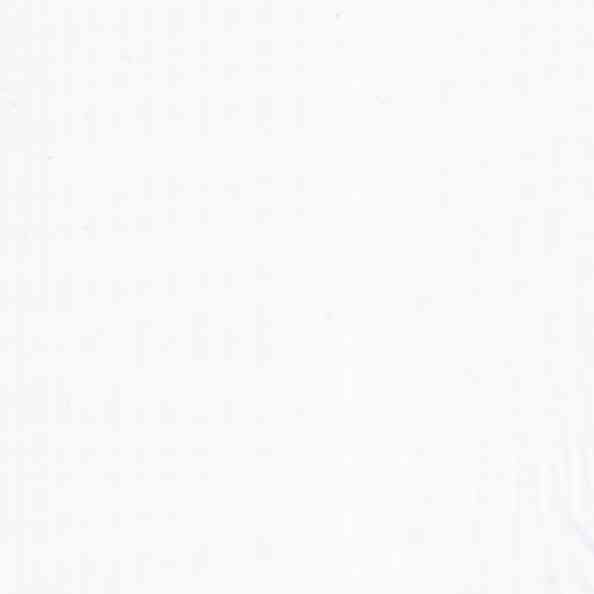 BN Silk Voile col 11