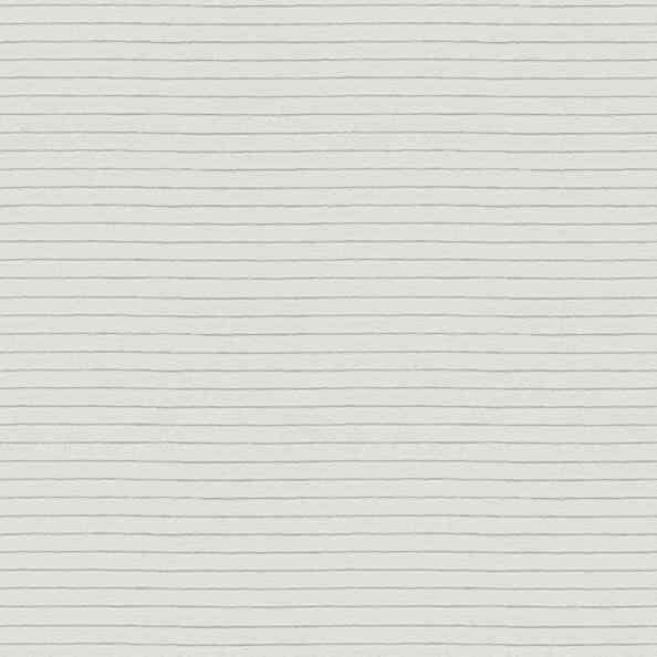 Flyboard Parchment