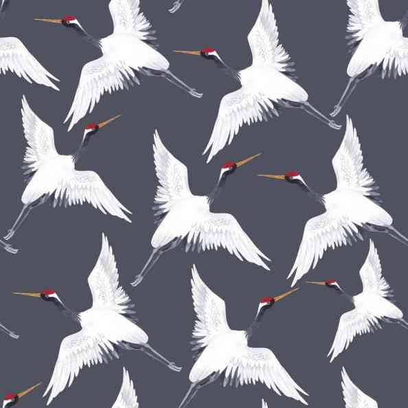Oriental Flight Grey
