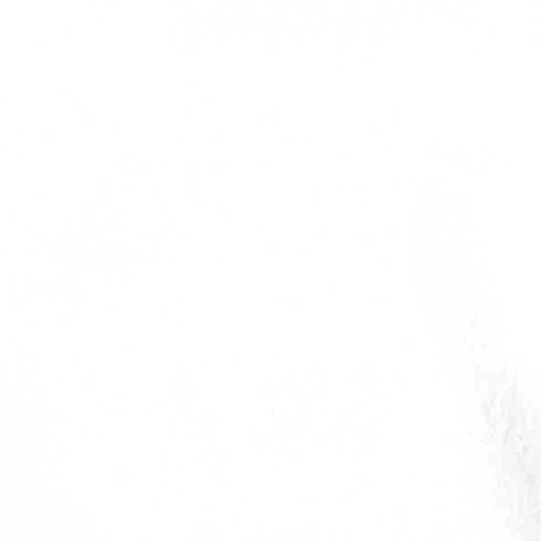 ML 21090 9001