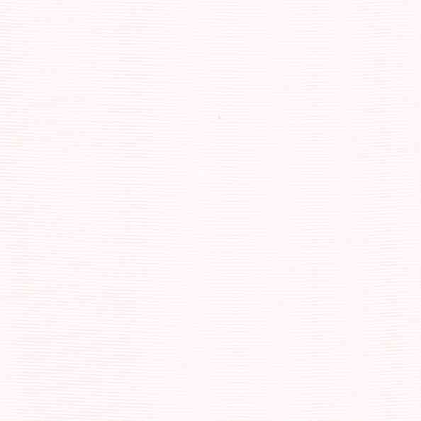 ML 21300 21255