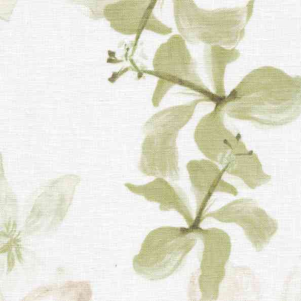 Violette A157 col 002