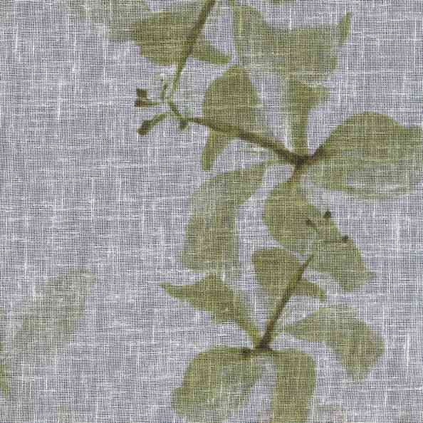 Violette A157 col 002