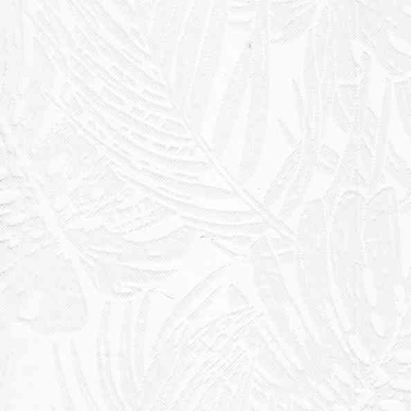 Monstera 01