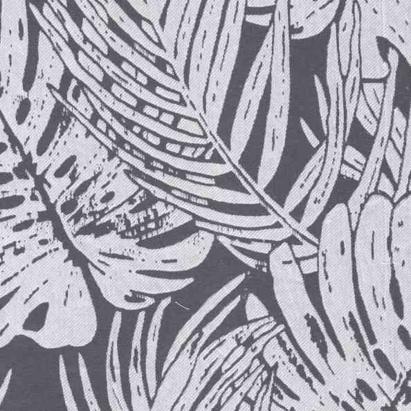 Monstera 01