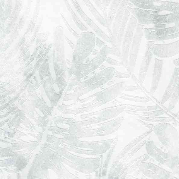 Monstera 102