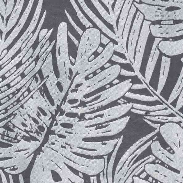 Monstera 102