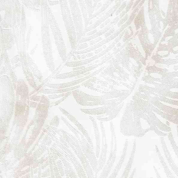 Monstera 103