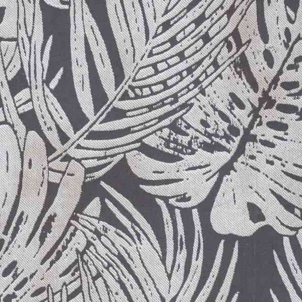 Monstera 103
