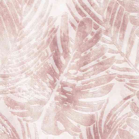 Monstera 104