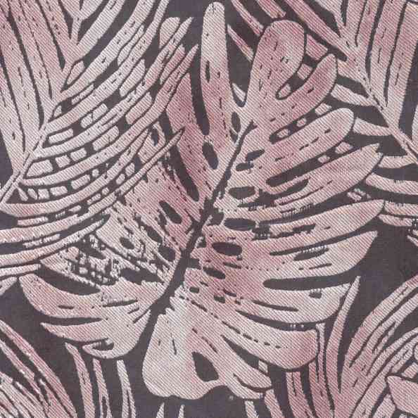 Monstera 104