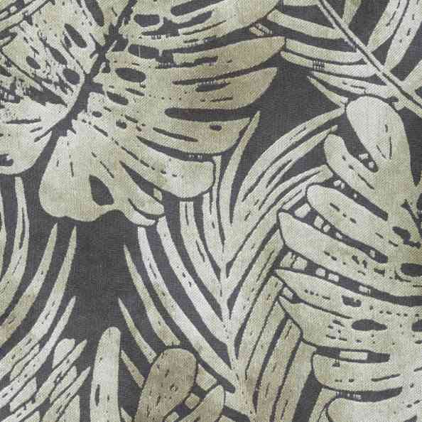 Monstera 47