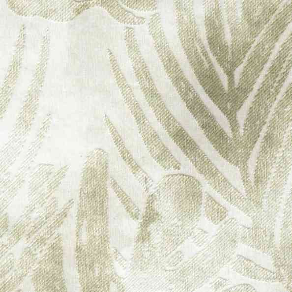 Monstera 47