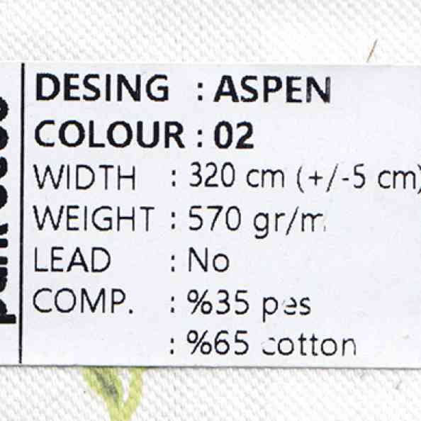 Aspen 02