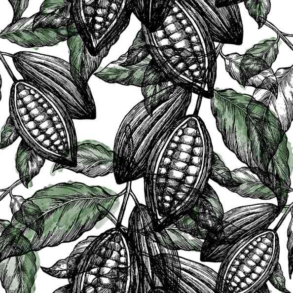 Cocoa 4