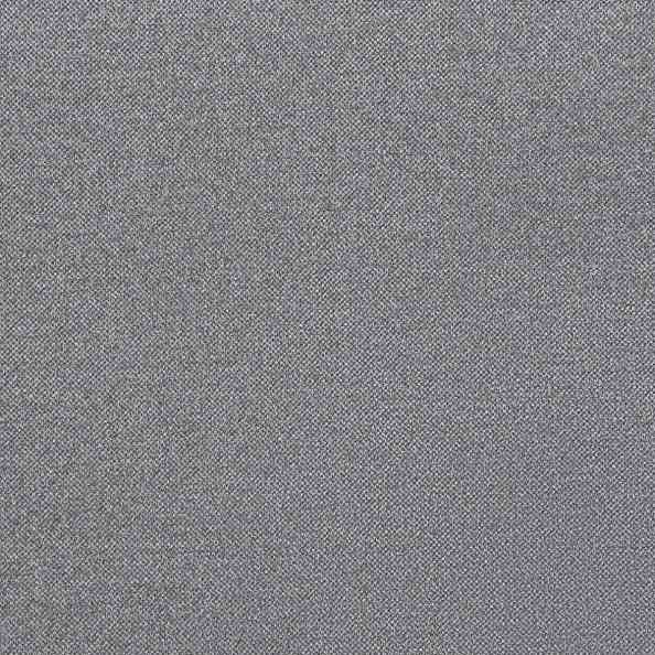 Best 04 Gray Squirrel