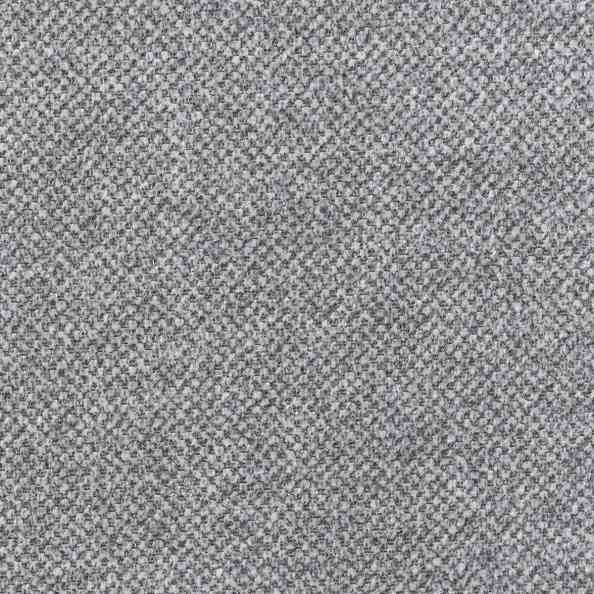 Best 04 Gray Squirrel