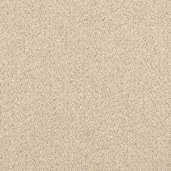 Carboni Camut 02