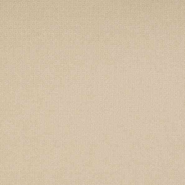 Carboni Camut 02