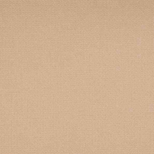 Carboni Camut 04