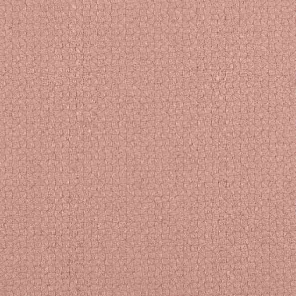 Carboni Camut 08