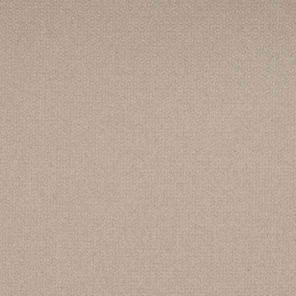 Carboni Camut 10