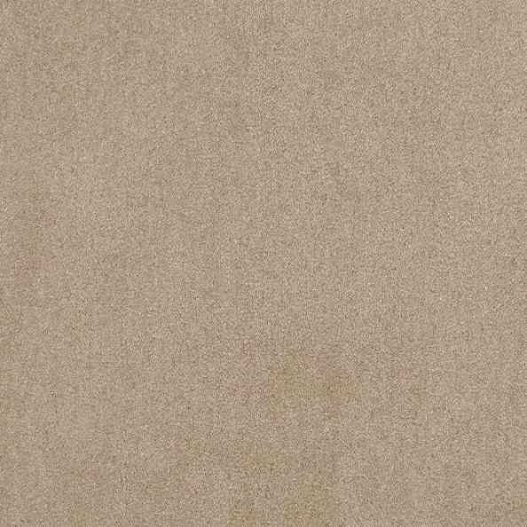 Club 03 Taupe Light