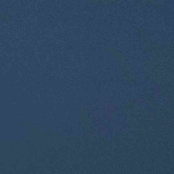Idol 25 Blue Whale