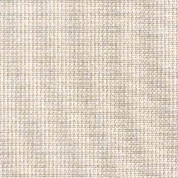 Jute 02