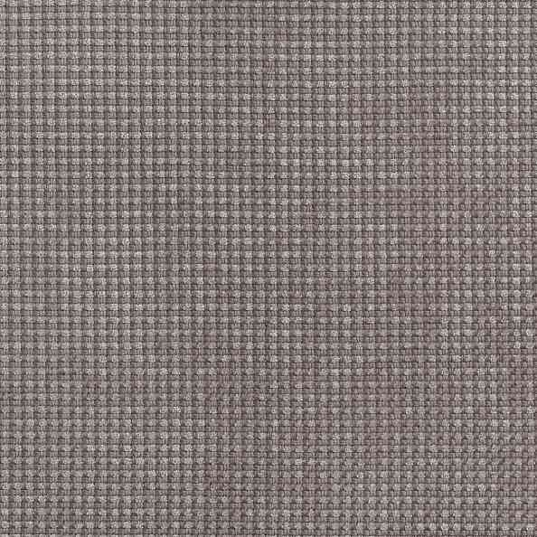 Jute 18