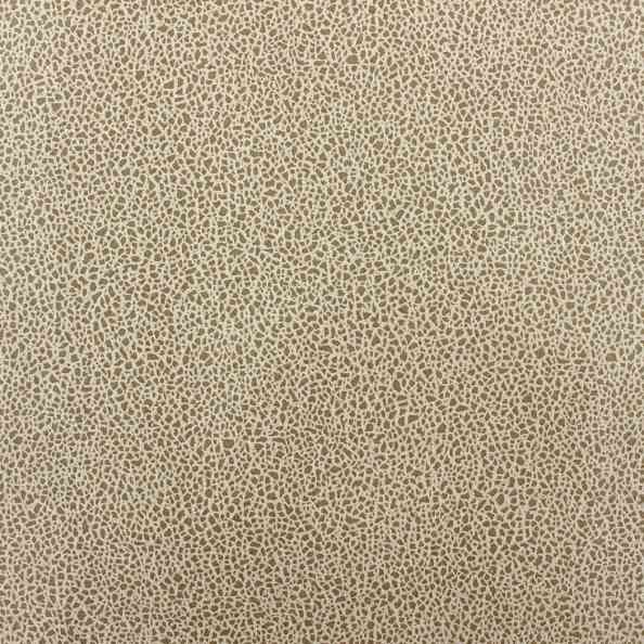 Dunes 221 41