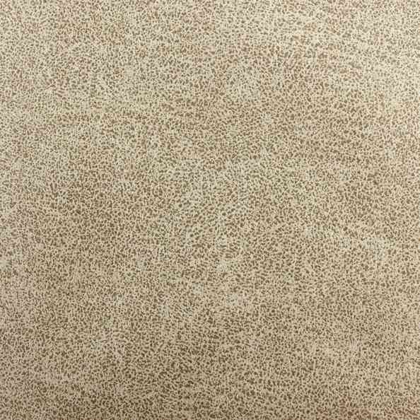 Dunes 221 42