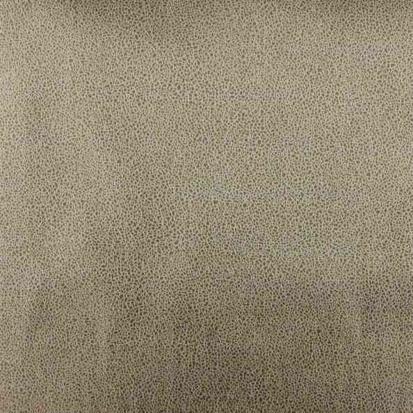 Dunes 221 52