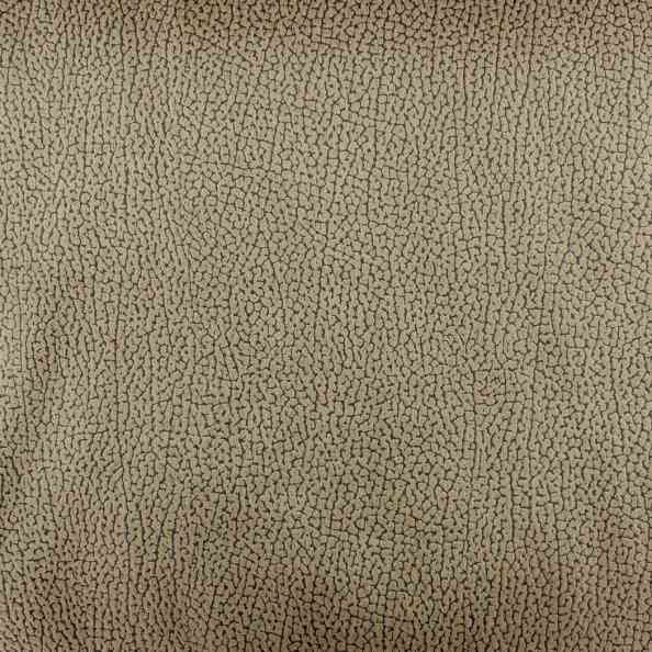 Dunes 221 56