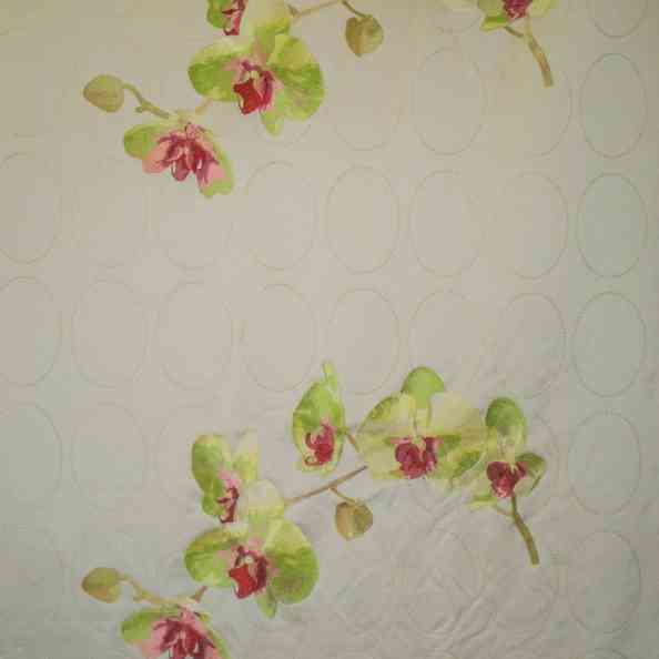 Corhide Cream
