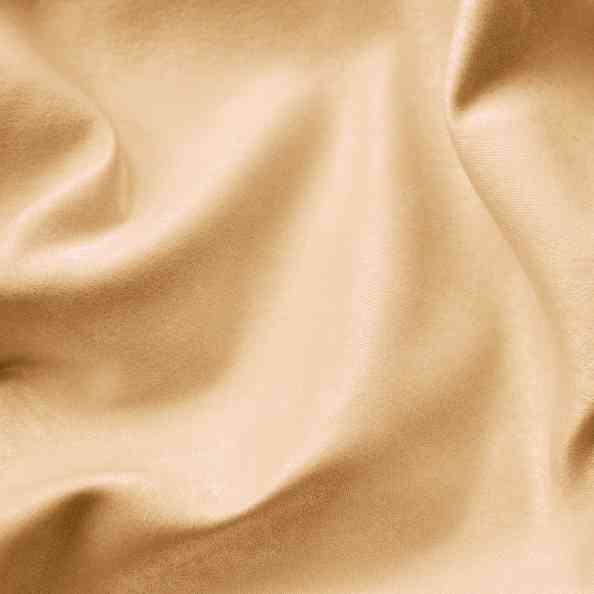 Evangelista Cream