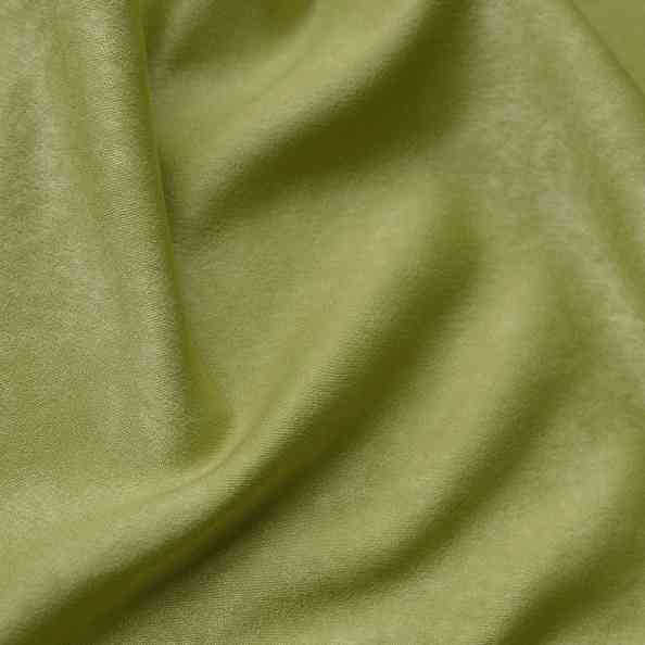 Evangelista Green